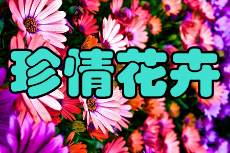 黨(rl(f))֙C